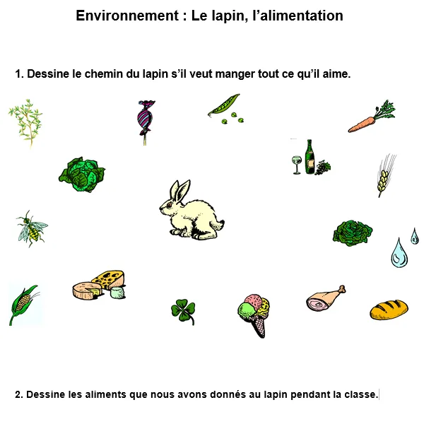 Fiche d’exercice sur l’alimentation du lapin
