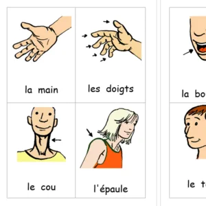 Imagier du corps humain