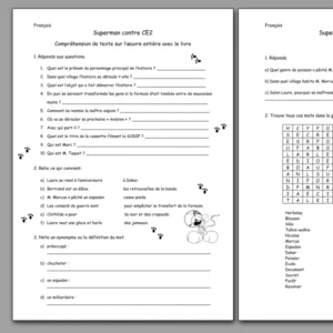 Questionnaires de lecture « Superman contre CE2 » (roman)