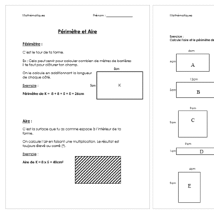 Périmètre et aire du carré et du rectangle