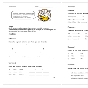 Évaluation – Mesures de longueurs