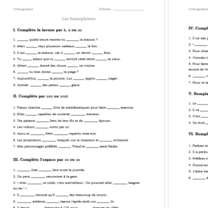Exercices sur quelques homophones courants