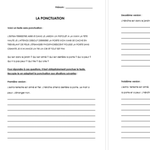 Fiche d’activité - Texte à ponctuer selon le sens