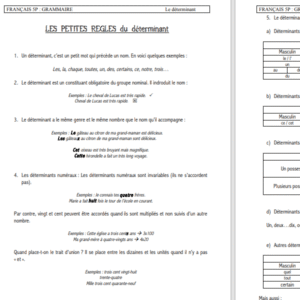 Fiche théorique sur le déterminant