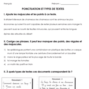 Ponctuation, majuscules et types de texte