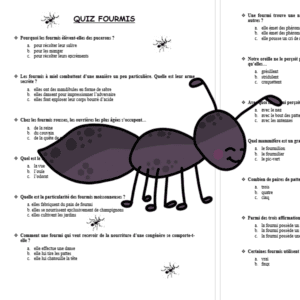 Quiz sur les fourmis