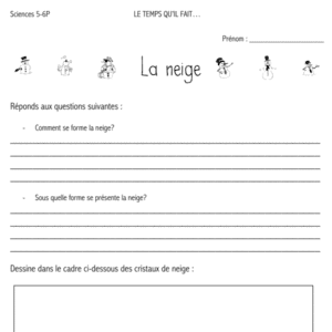 Fiche d’activité : La neige