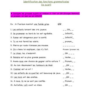 Dossier de structuration de la langue (7P)