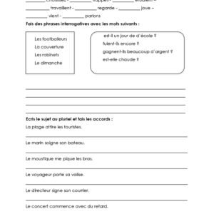 Dossiers d'exercices de conjugaison