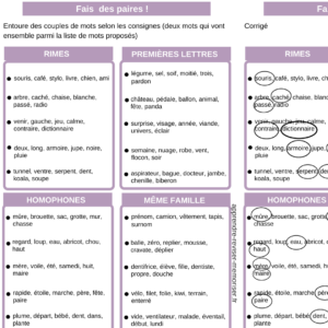 Fais des paires ! – Jeu pour améliorer la lecture
